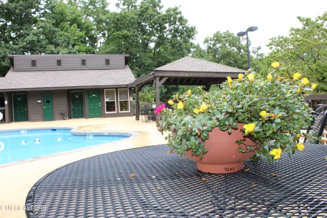 1380 Ski View Drive UNIT 3203, Gatlinburg, TN 37738