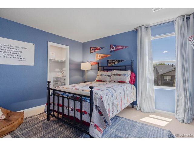 13548 Tree Sparrow Ln, Parker, CO 80134