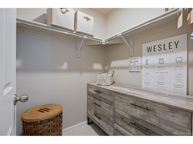 13548 Tree Sparrow Ln, Parker, CO 80134