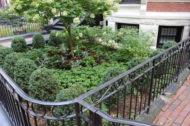 246 Marlborough Street 1, Boston, MA 02116