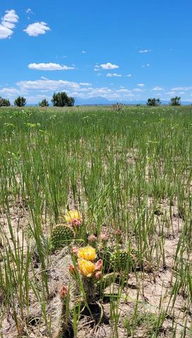 TBD Turkey Ridge East, Walsenburg, CO 81089
