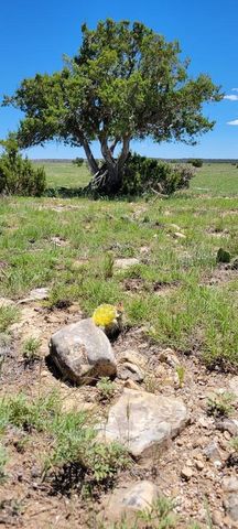TBD Turkey Ridge East, Walsenburg, CO 81089