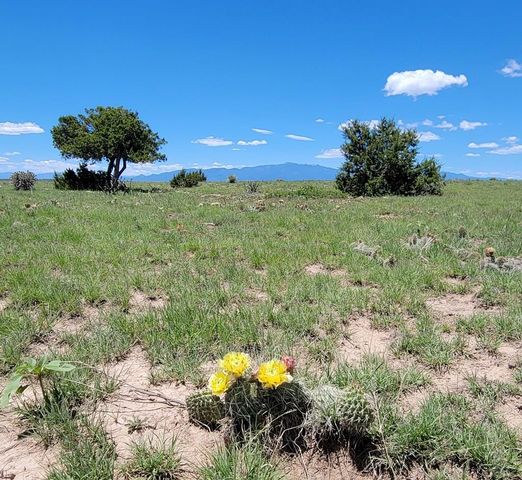 TBD Turkey Ridge East, Walsenburg, CO 81089