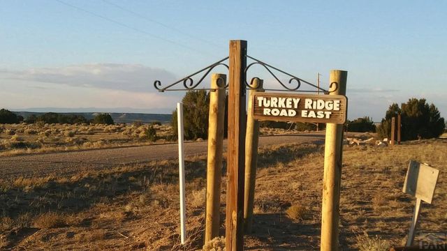 TBD Turkey Ridge East, Walsenburg, CO 81089