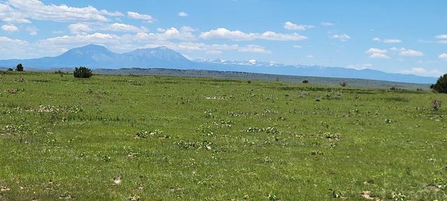 TBD Turkey Ridge East, Walsenburg, CO 81089