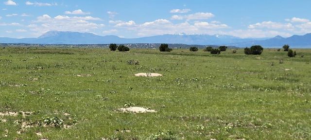 TBD Turkey Ridge East, Walsenburg, CO 81089