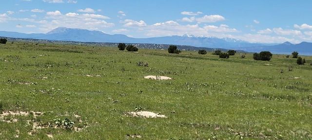 TBD Turkey Ridge East, Walsenburg, CO 81089