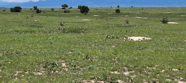 TBD Turkey Ridge East, Walsenburg, CO 81089