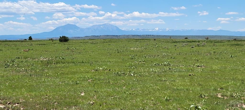 TBD Turkey Ridge East, Walsenburg, CO 81089