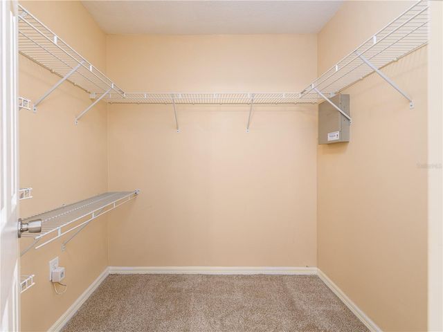 18050 ARBOR CREST DRIVE, Tampa, FL 33647