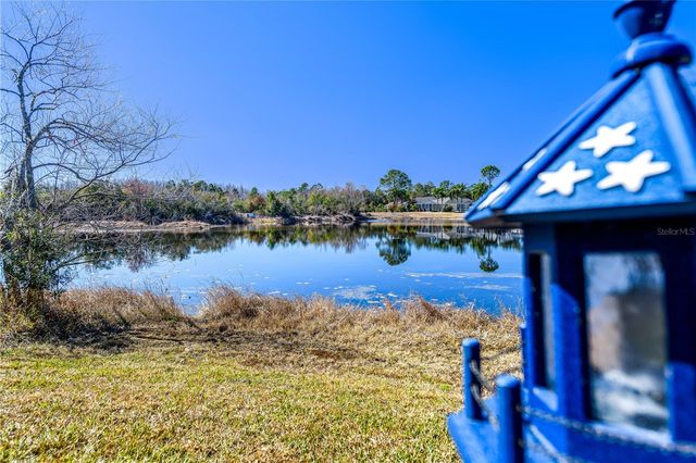 18050 ARBOR CREST DRIVE, Tampa, FL 33647