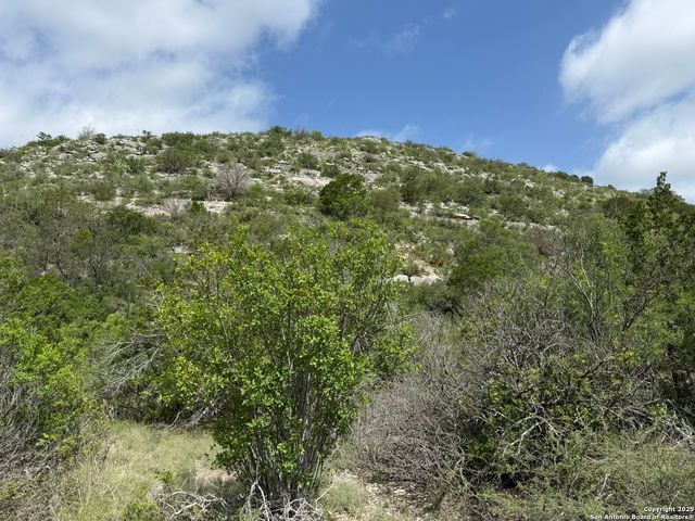 TBD Murray Ranch Road, Rocksprings, TX 78881