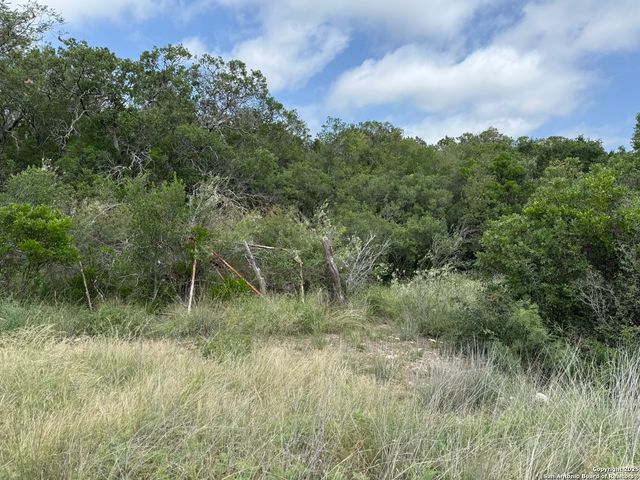 TBD Murray Ranch Road, Rocksprings, TX 78881