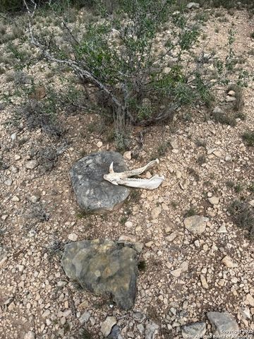 TBD Murray Ranch Road, Rocksprings, TX 78881