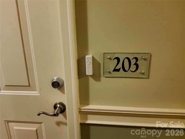 155 S Lexington Avenue 203, Asheville, NC 28801