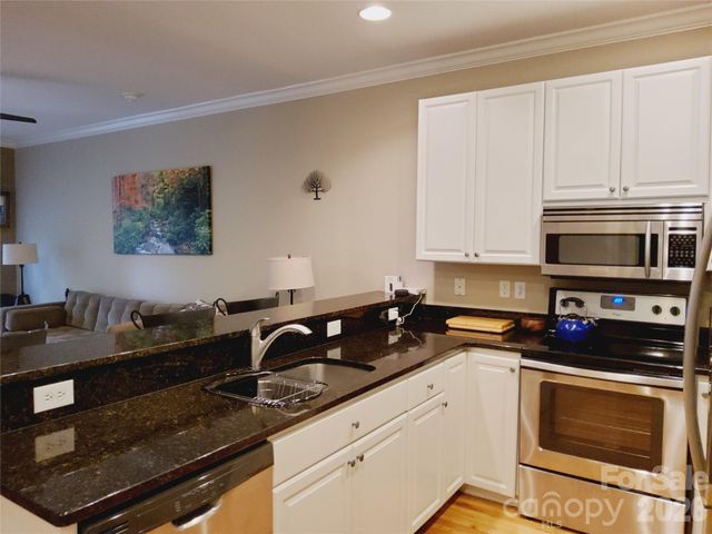 155 S Lexington Avenue 203, Asheville, NC 28801
