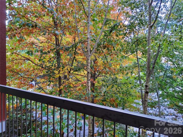 155 S Lexington Avenue 203, Asheville, NC 28801