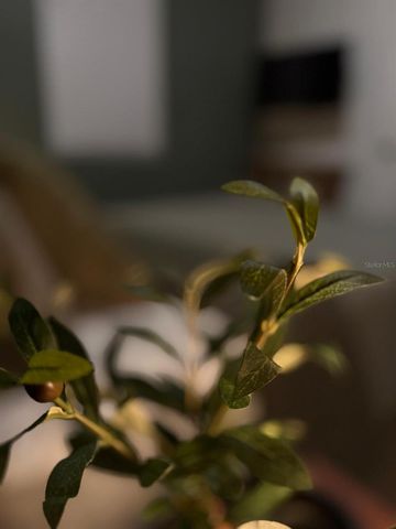 3305 TRANQUIL TRAIL, Kissimmee, FL 34747