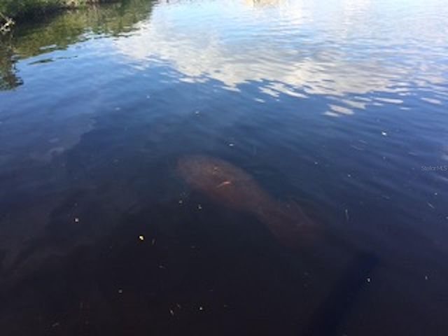 0 RIVERFRONT DRIVE Lot 6, Venice, FL 34293