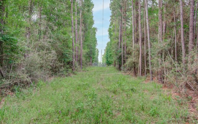 0 Winters Ranch Road, New Waverly, TX 77358