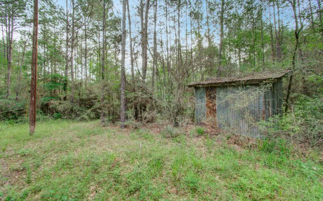 0 Winters Ranch Road, New Waverly, TX 77358