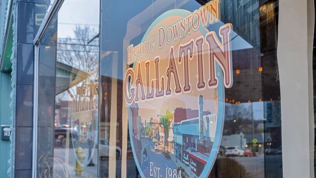 2021 Skippack Pvt Circle, Gallatin, TN 37066