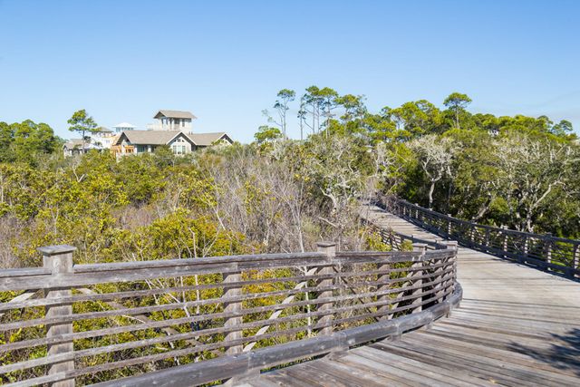 87 W Salt Box Lane, Inlet Beach, FL 32461