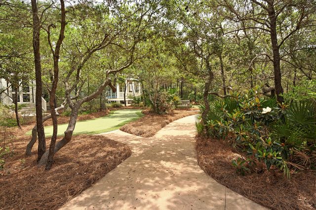 87 W Salt Box Lane, Inlet Beach, FL 32461