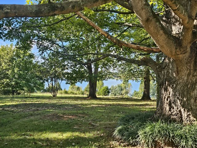 1000 N Vine St, Winchester, TN 37398