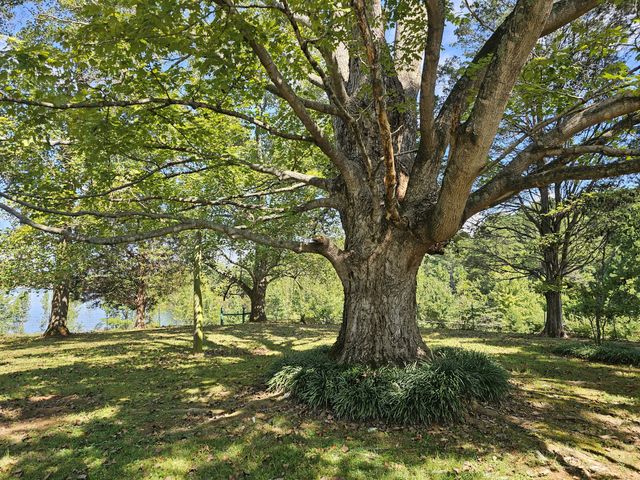 1000 N Vine St, Winchester, TN 37398