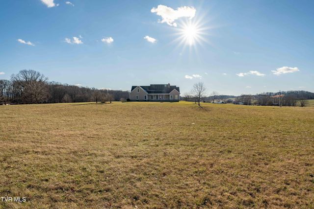 287 Saylor Hill Road, Limestone, TN 37681