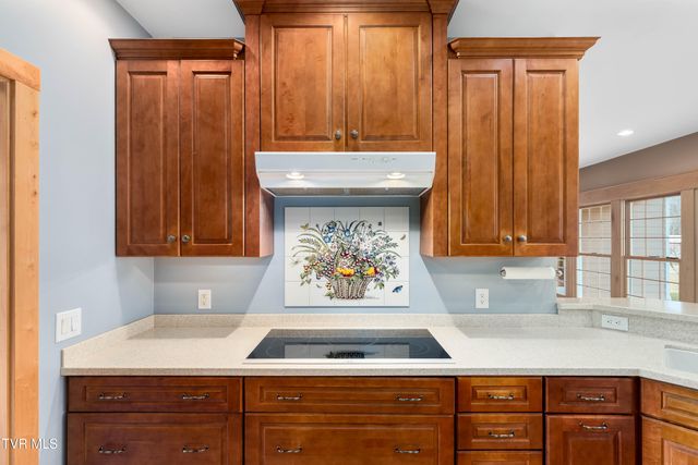 287 Saylor Hill Road, Limestone, TN 37681