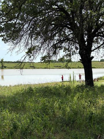 293 Zebrastone Way, Poolville, TX 76487