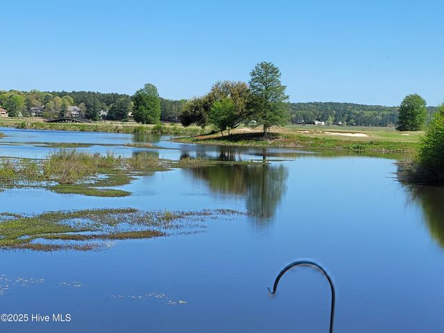 322 Bald Cypress Drive, Vass, NC 28394