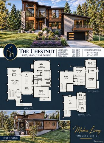 8775 Buchanan, Mecosta Township, MI 48303
