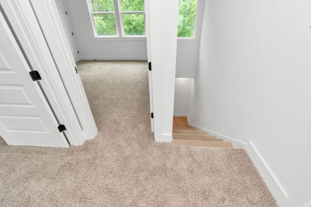 2813 Drew Street, Houston, TX 77004