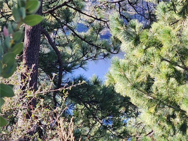 839 Arbula, Crestline, CA 92325