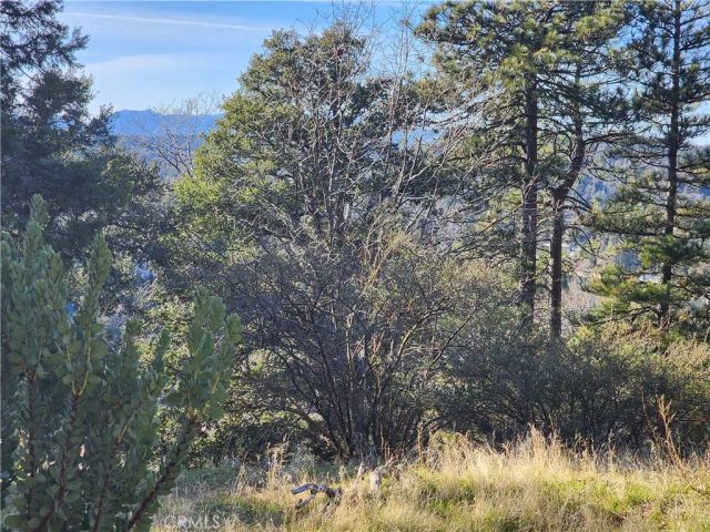 839 Arbula, Crestline, CA 92325