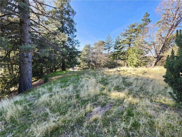 839 Arbula, Crestline, CA 92325