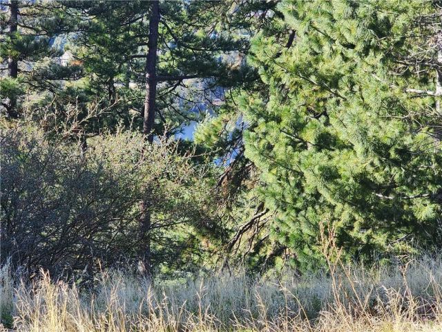 839 Arbula, Crestline, CA 92325