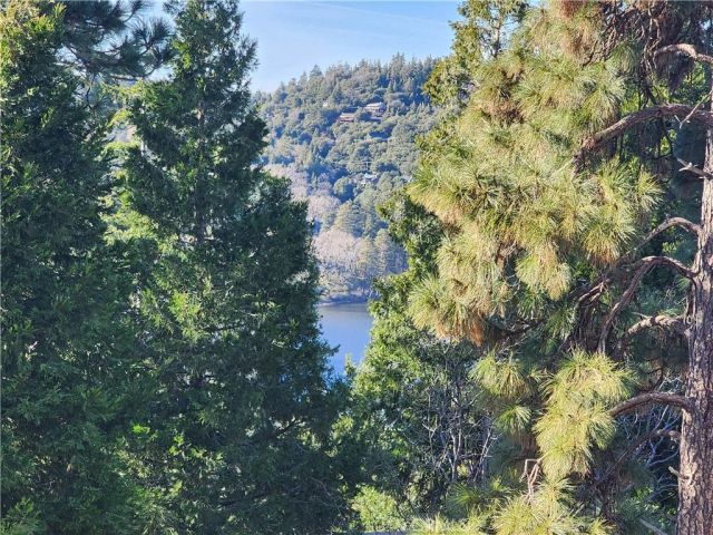 839 Arbula, Crestline, CA 92325