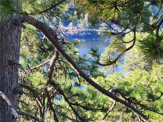 839 Arbula, Crestline, CA 92325