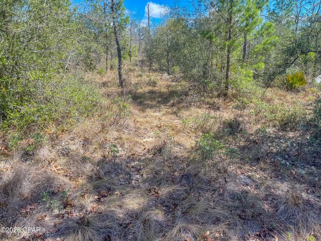 4303 NW Twin Ponds Road, Altha, FL 32421