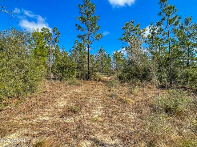 4303 NW Twin Ponds Road, Altha, FL 32421