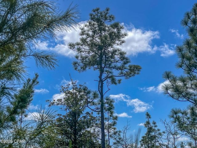 4303 NW Twin Ponds Road, Altha, FL 32421