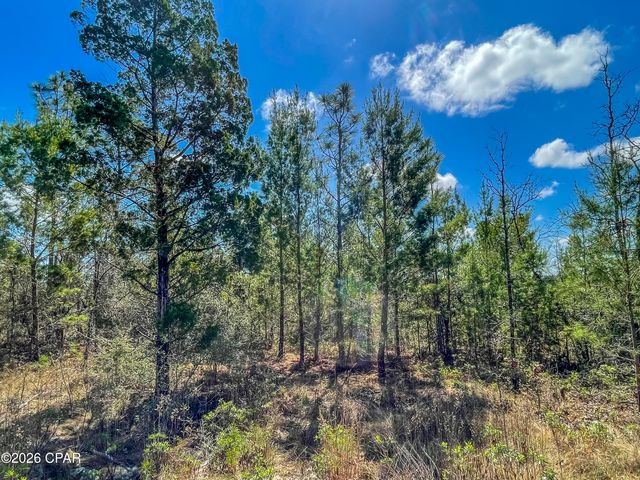 4303 NW Twin Ponds Road, Altha, FL 32421