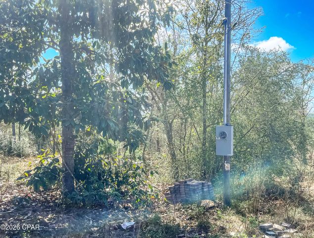 4303 NW Twin Ponds Road, Altha, FL 32421