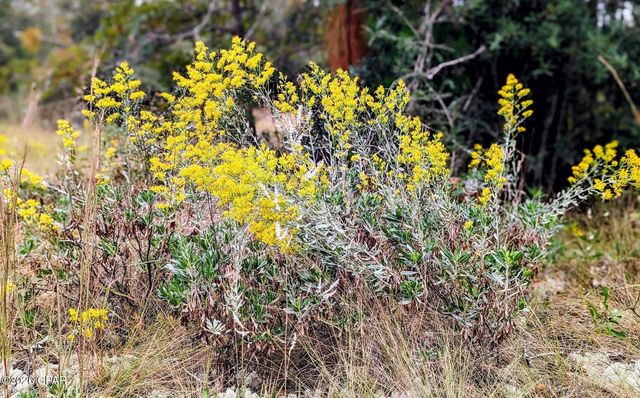 4303 NW Twin Ponds Road, Altha, FL 32421