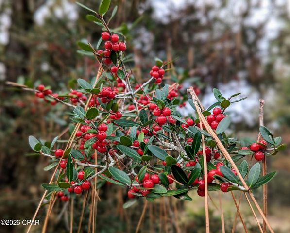 4303 NW Twin Ponds Road, Altha, FL 32421