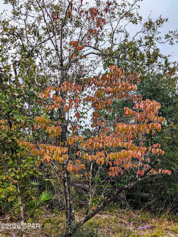 4303 NW Twin Ponds Road, Altha, FL 32421